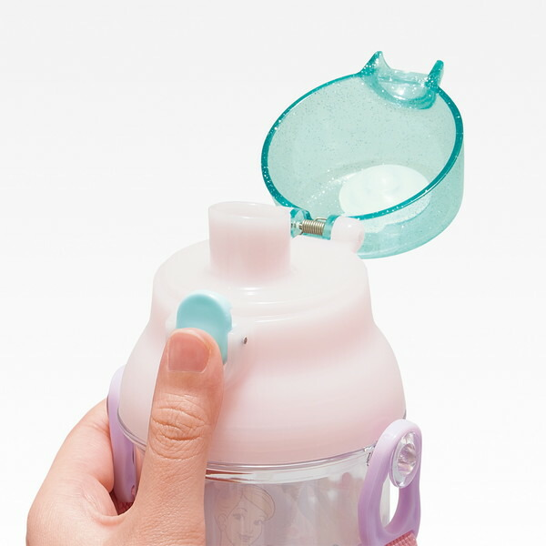 Disney Water Bottle-Princess